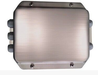 Wasserdichte Edelstahl-wiegende Skala-Teile